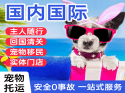临沂机场空运国际宠物托运 【国